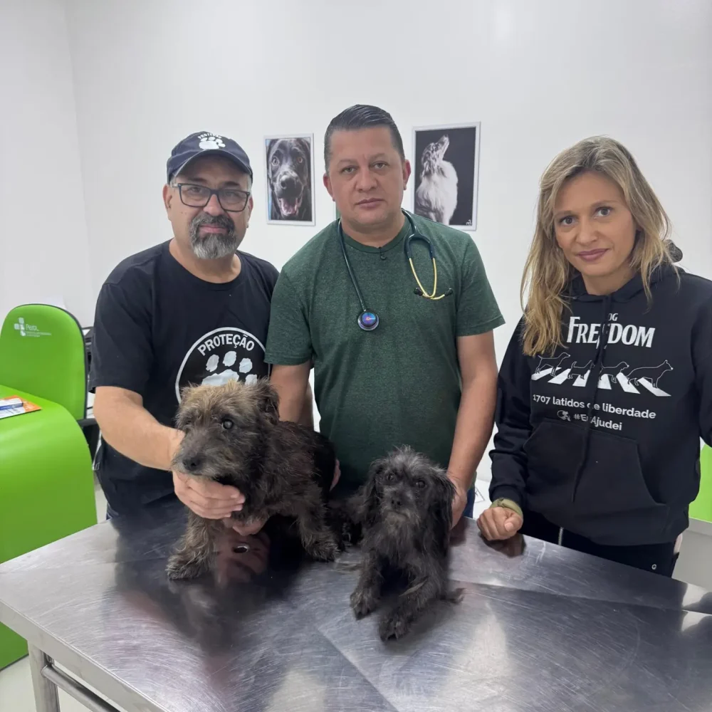 WhatsApp Image 2025-11-10 at 15.02.52 (2)