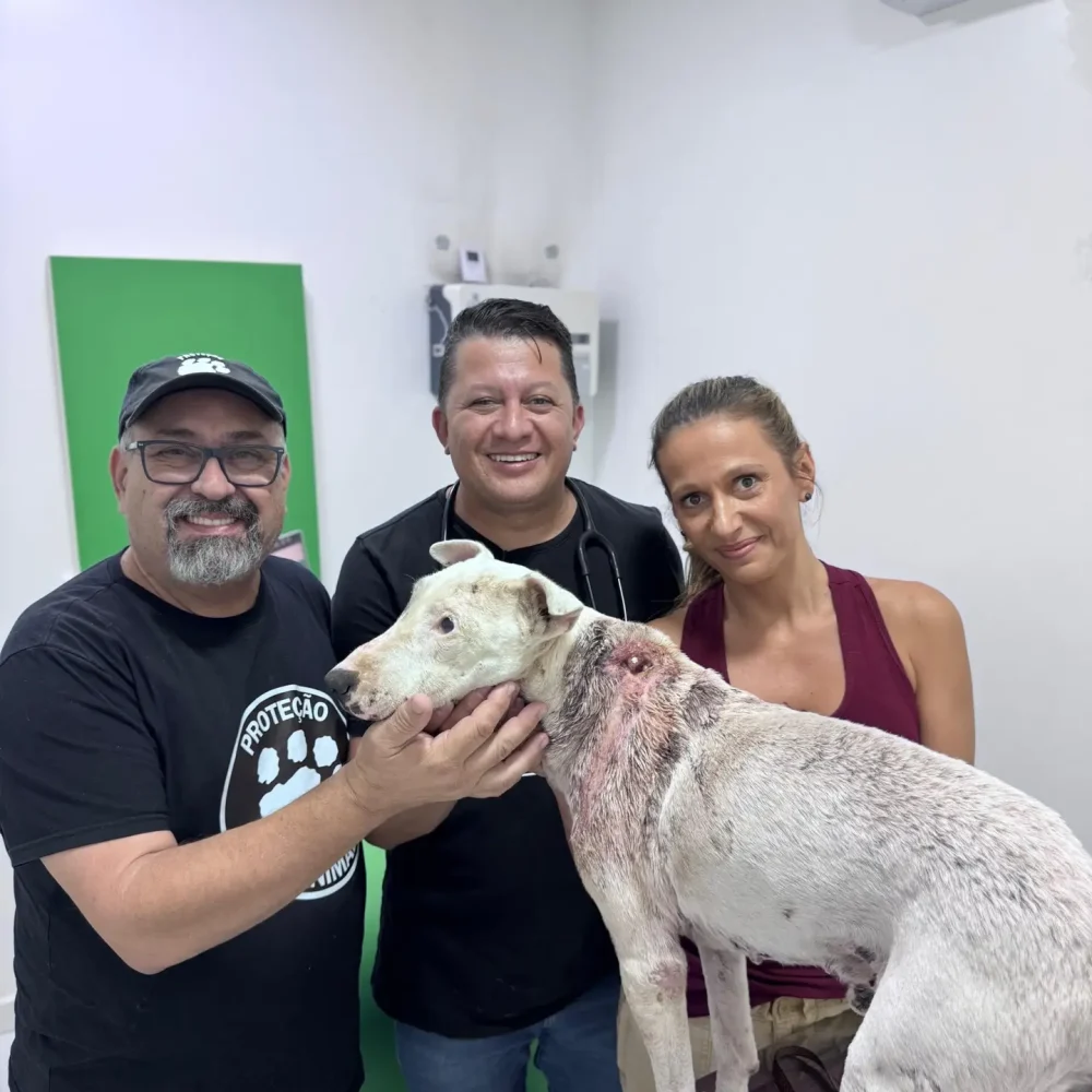 WhatsApp Image 2025-11-10 at 15.02.52